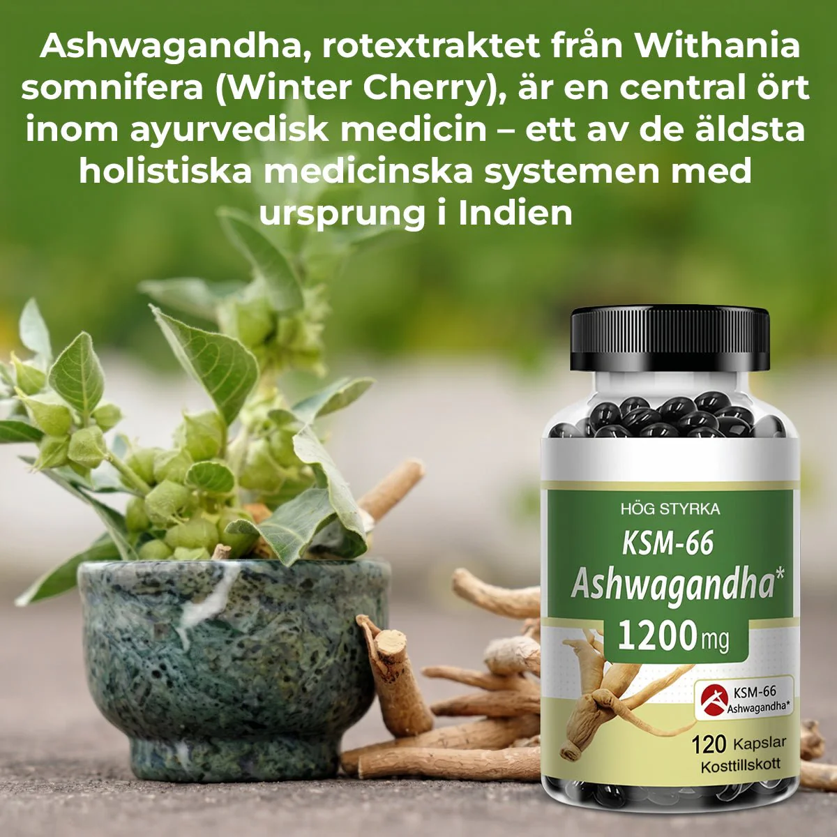 Miniatyrbild 3